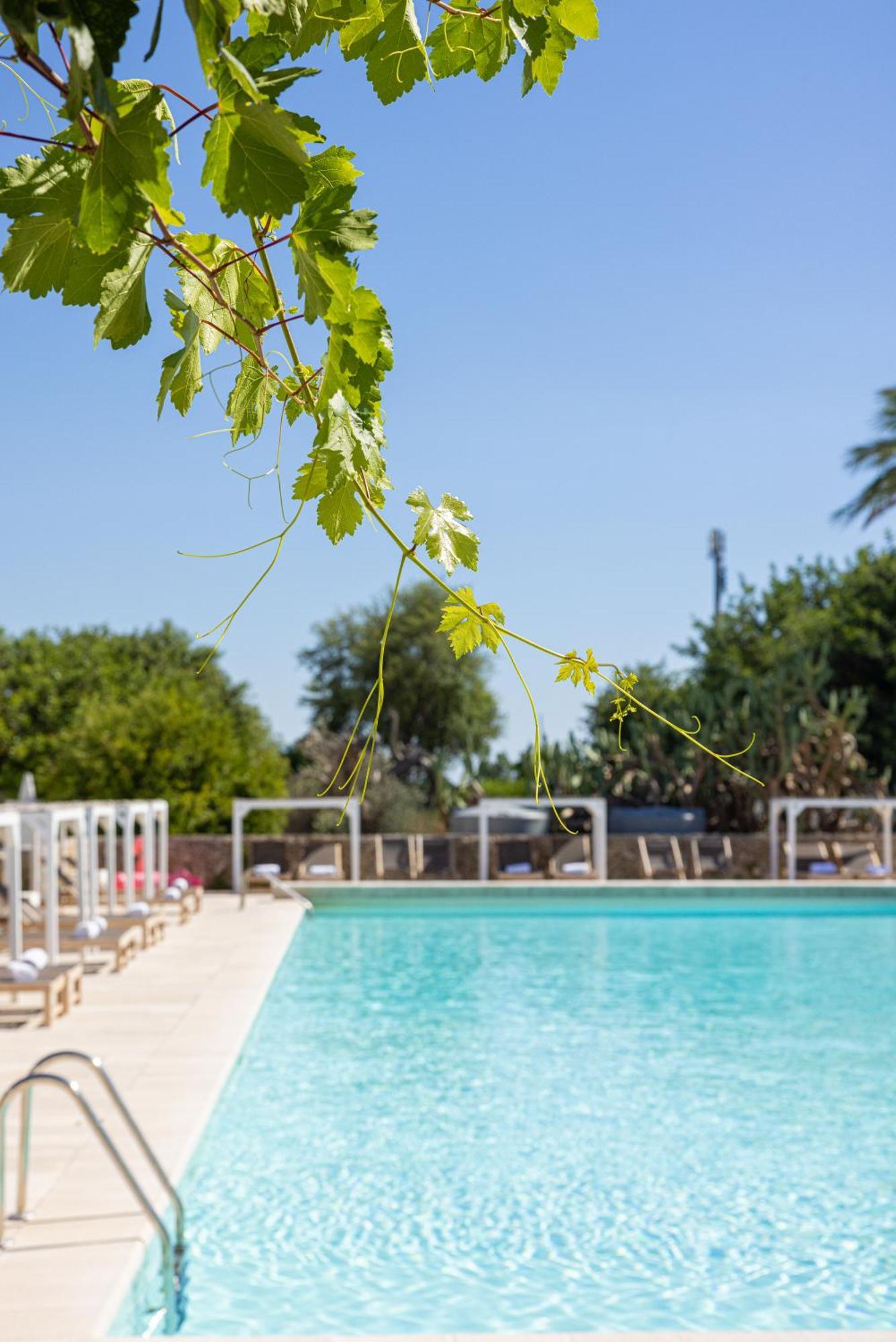 Masseria Malvindi Мезанье Экстерьер фото